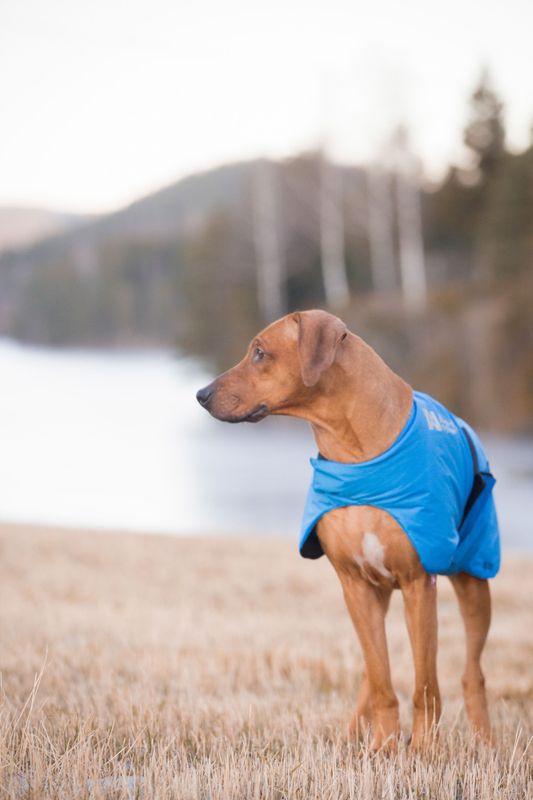 Non-stop dogwear Blest jacket varmedekken