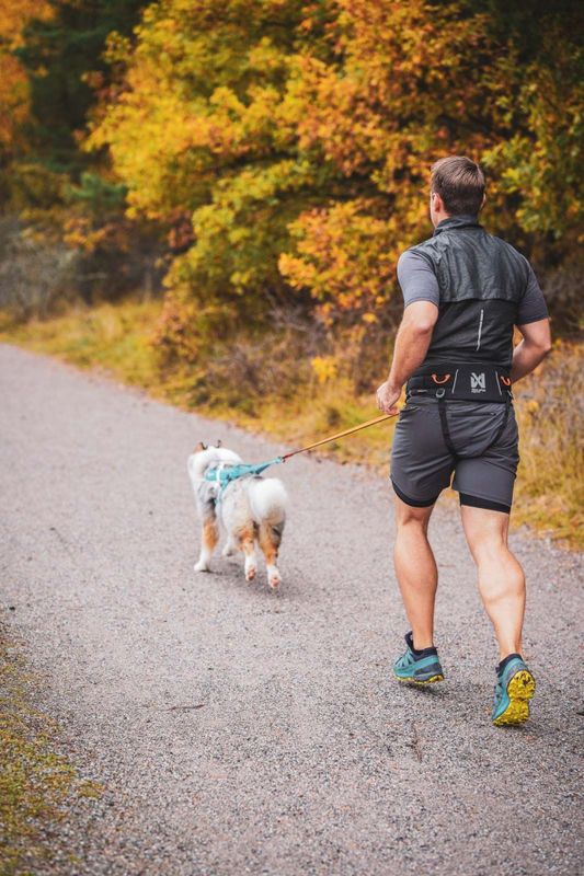 Non-stop dogwear Trekking belt 2.0