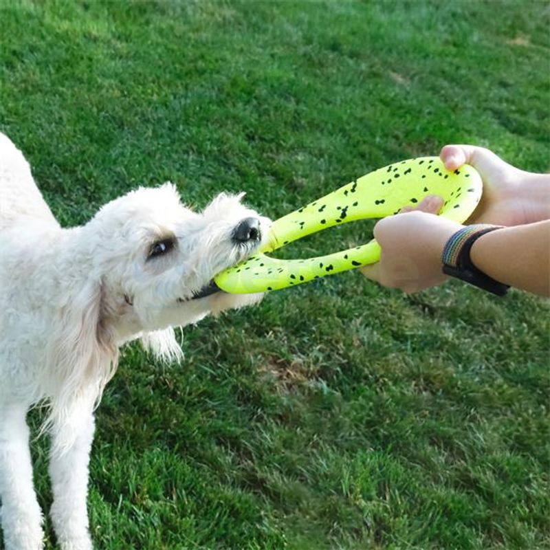 Hundeleke KONG Reflex Flyer Frisbee