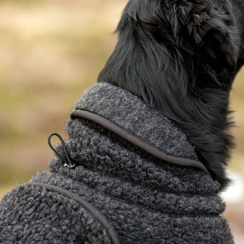 CANELANA Ambassadør Ulldekken Hund Dachs