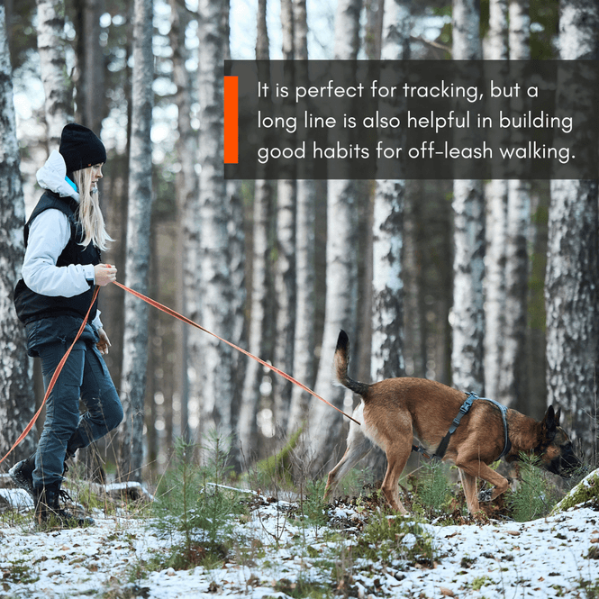 Hovedbilde Non-stop dogwear Friction long line