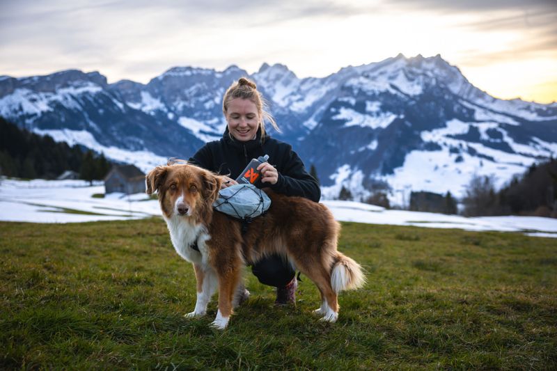 Non-stop dogwear Trail light dog backpack