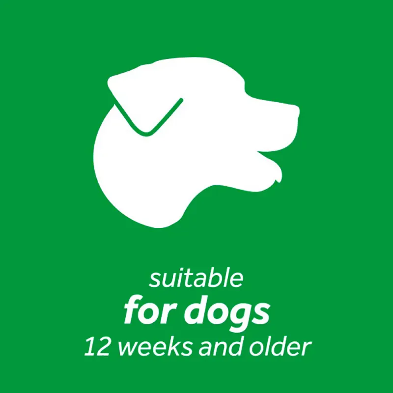 Tropiclean Oral Care Water Additive Dogs 473 ml