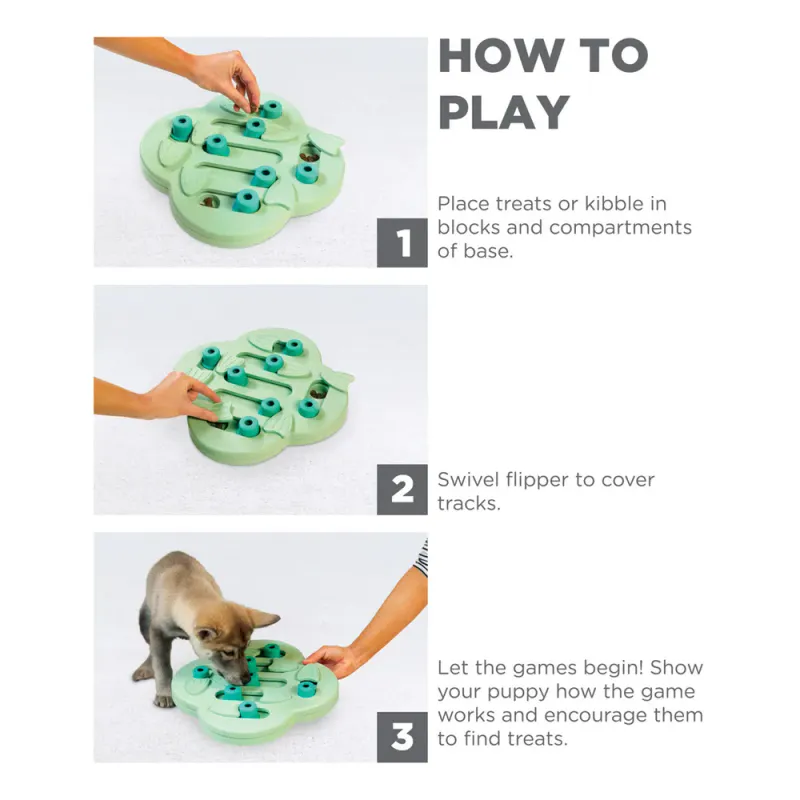 Ninas Puppy Hide N Slide Level 2