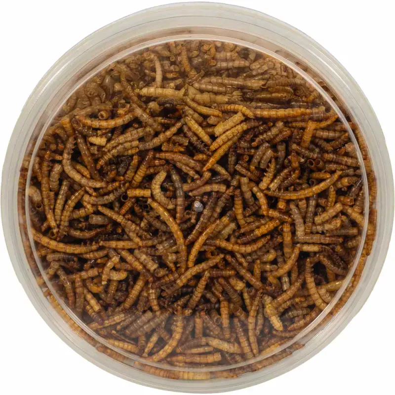 Tørket melorm 200gr