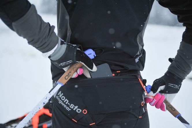 Hovedbilde Non-stop dogwear Løype belt pro