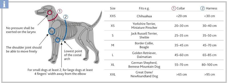 Hundesele Step-in Premium XL