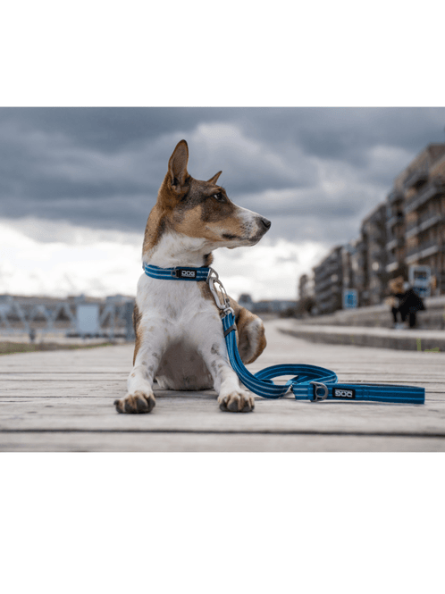 Hovedbilde DOG Copenhagen Urban Freestyle Line