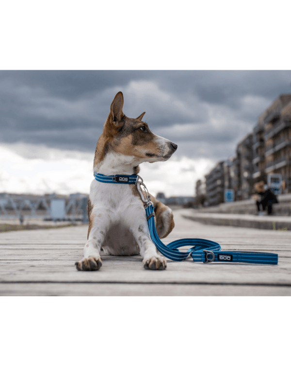 DOG Copenhagen Urban Freestyle Line