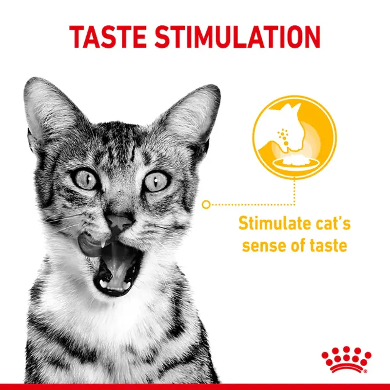 Royal Canin Våtfor Sensory Taste Gravy 85g
