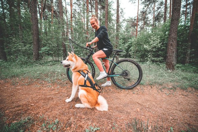 Hovedbilde Non-stop dogwear Bike antenna