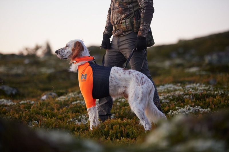 Non-stop dogwear Protector t-shirt dekken