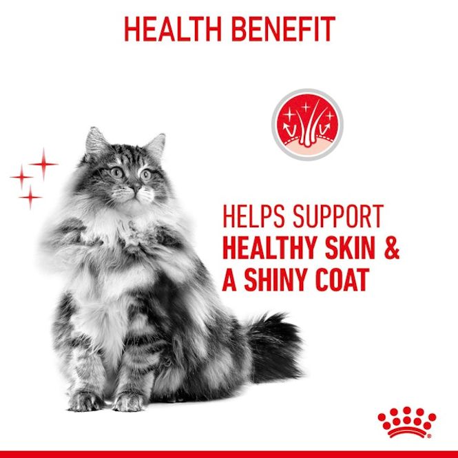 Hovedbilde Royal Canin Våtfor Hair & Skin Gravy 85g