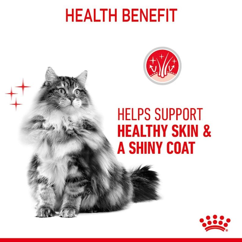Royal Canin Våtfor Hair & Skin Gravy 85g