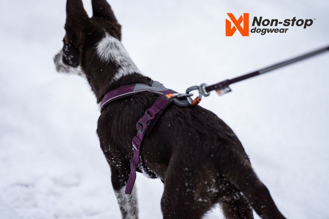 Hovedbilde Non-stop dogwear Line harness 5.0