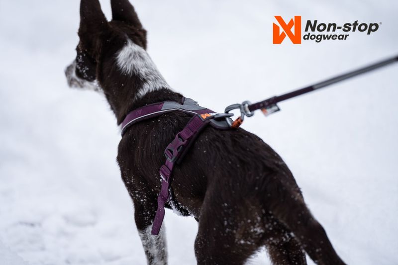 Non-stop dogwear Line harness 5.0