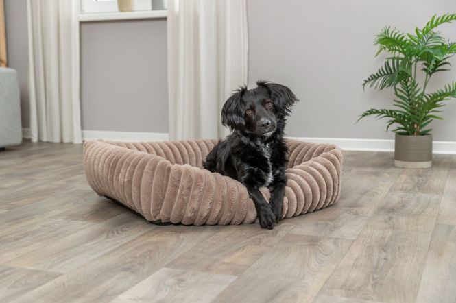 Hovedbilde Hundeseng SOFT Edition Lonni Lysebrun