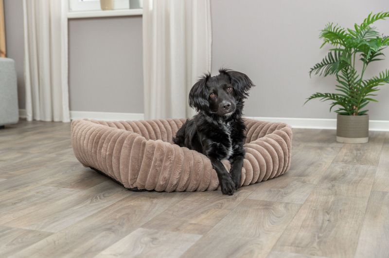 Hundeseng SOFT Edition Lonni Lysebrun