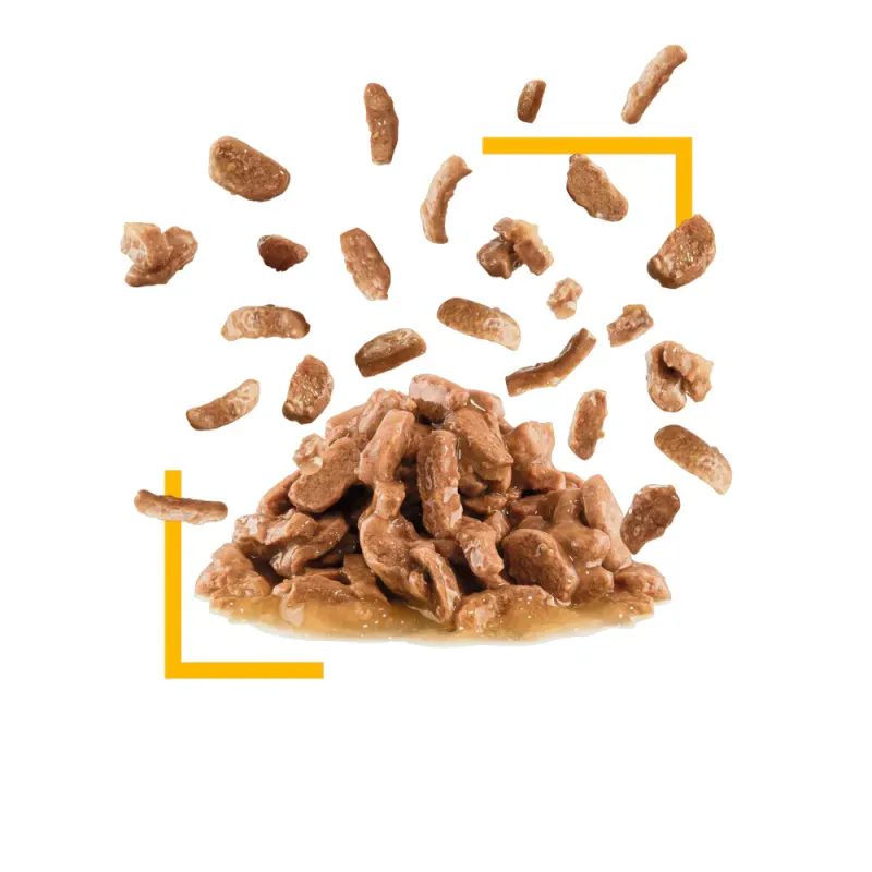 Royal Canin Våtfor Sensory Taste Gravy 85g