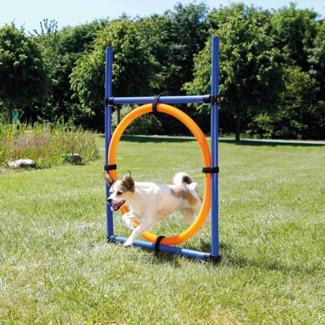 Hovedbilde Agility Ring 1,15m x D: 65cm