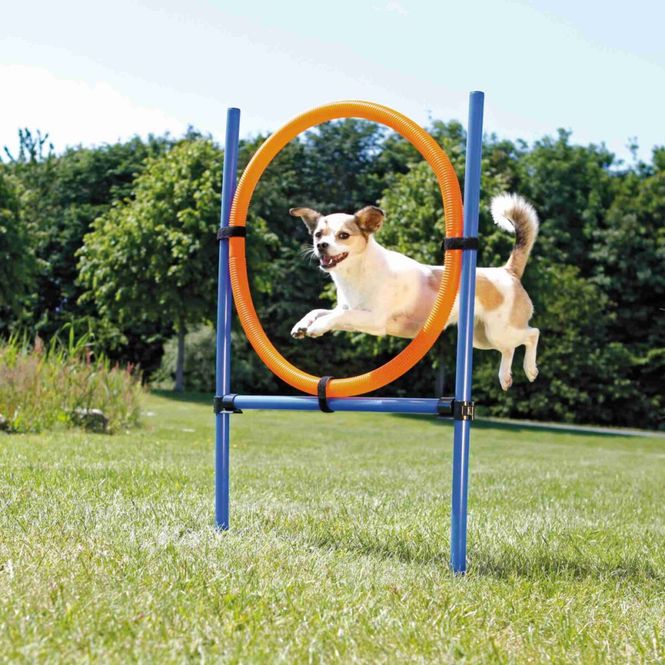 Hovedbilde Agility Ring 1,15m x D: 65cm