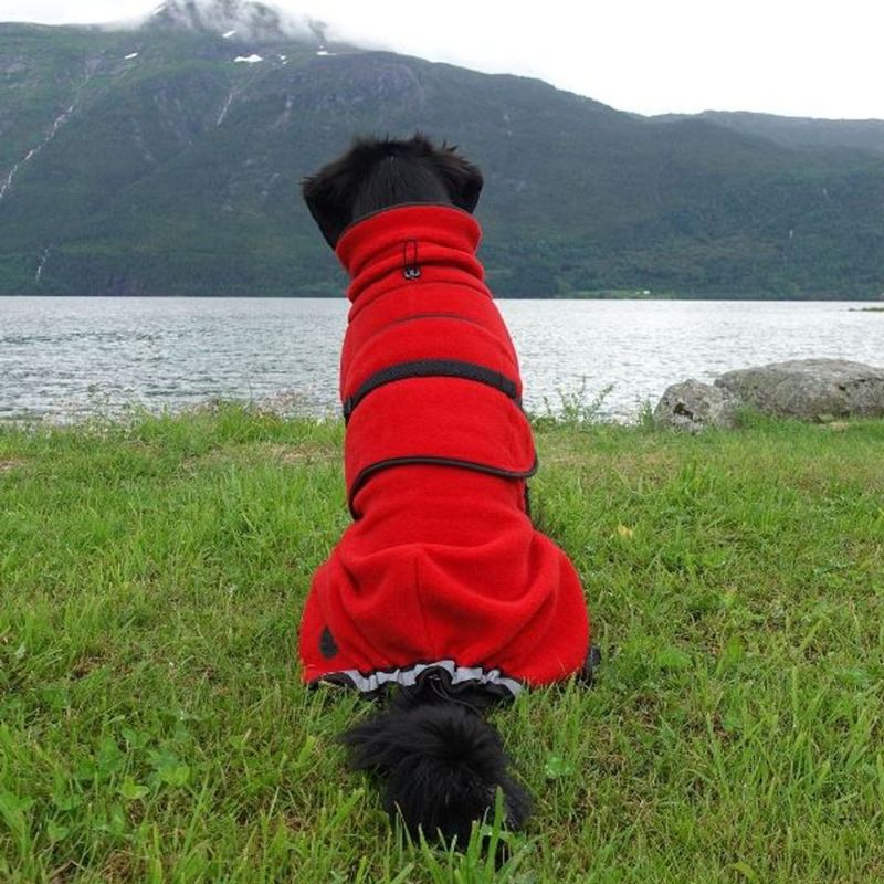 CANELANA Lana Rød - tynt ulldekken hund