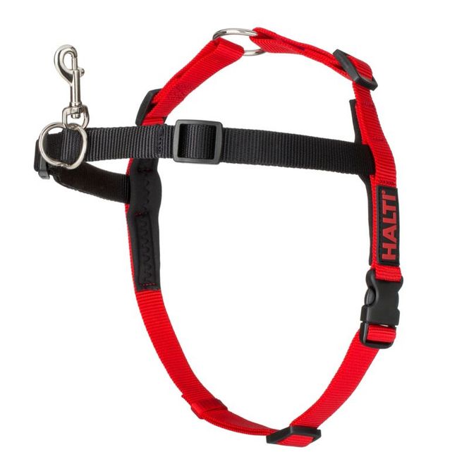 Hovedbilde Halti Harness Sort/Rød