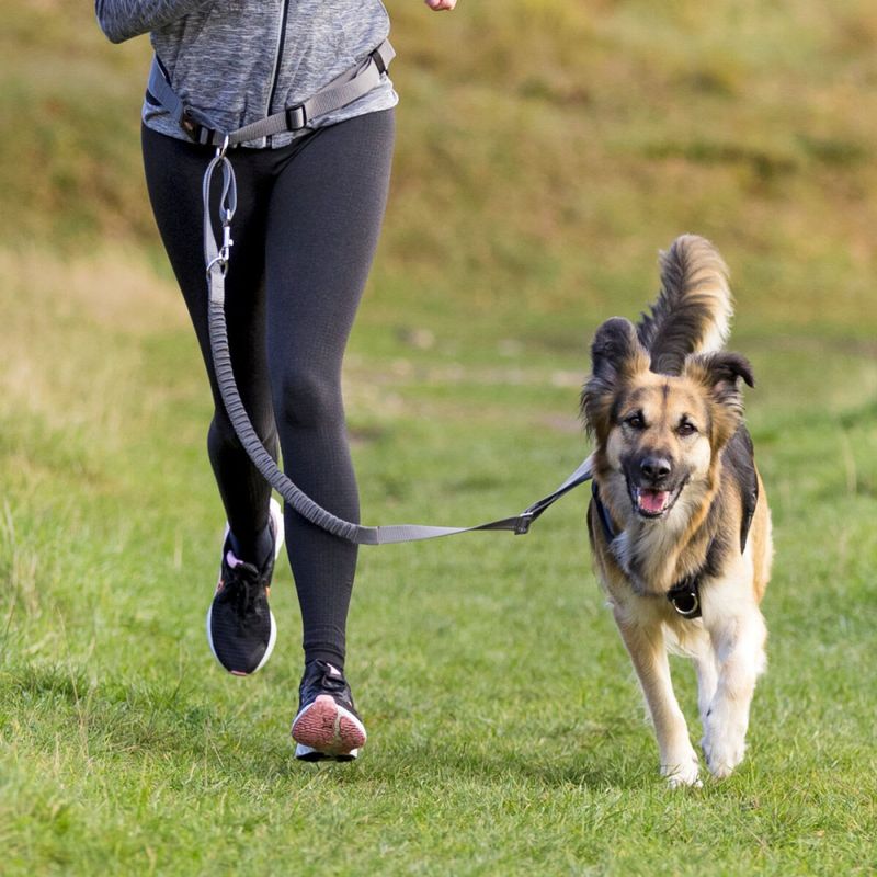Trixie Joggeline Belte 70-130cm