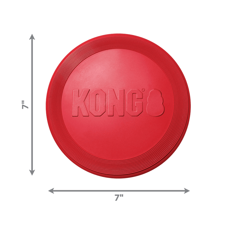 Hundeleke KONG Flyer