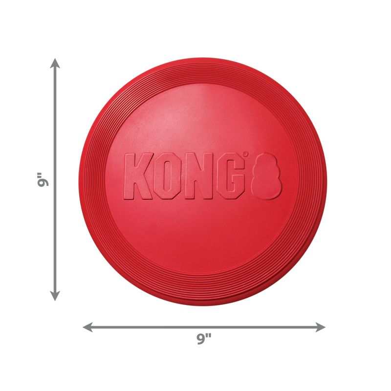 Hundeleke KONG Flyer